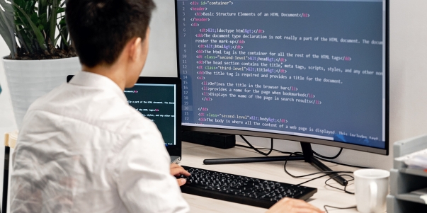 How to Develop ASP.NET Web Applications?